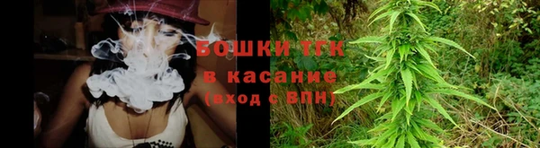 ПСИЛОЦИБИНОВЫЕ ГРИБЫ Белокуриха