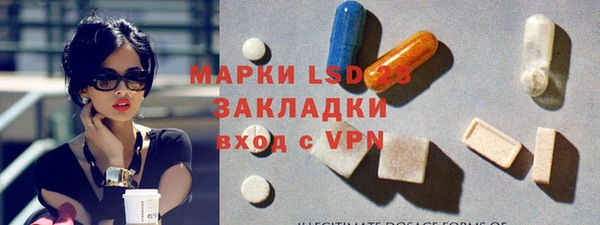 ПСИЛОЦИБИНОВЫЕ ГРИБЫ Белокуриха
