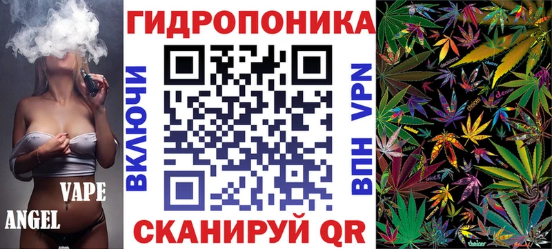 Шишки марихуана марихуана  Короча 
